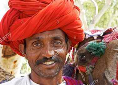 گردن سیدھی کردی خاموش ہوگئے