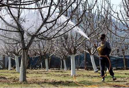 جراثیم کُش دوائی مفید بھی ہے مضر بھی :بخاری