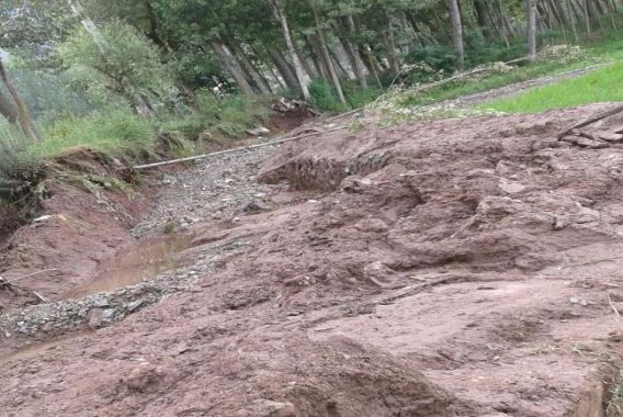 لار گاندربل میں بادل پھٹنے سے دھان کی فصل تباہ