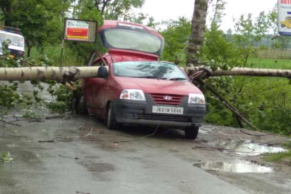 سفیدے کے درخت نے راہ چلتی کار کو چپٹی کردیا،سوار بال بال بچے