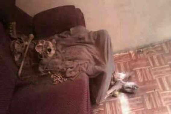 امریکہ سے لوٹنے پر اکلوتے بیٹے کوبند گھر میں ماں کی ہڈیاں ملیں