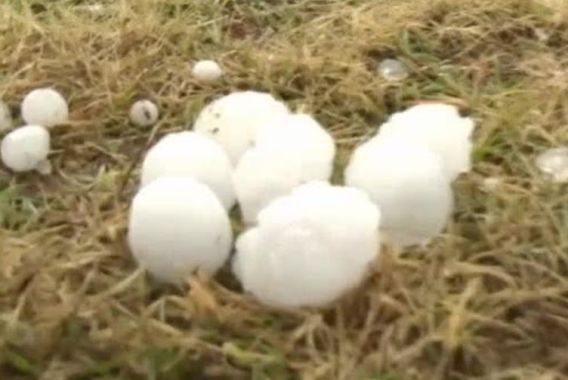 چین میں آسمان سے انڈوں کی بارش!