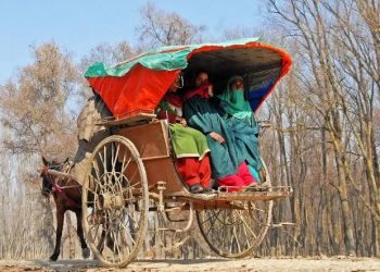 کشمیر کا آخری تانگہ بھی بند،ایک عہد کا خاتمہ!