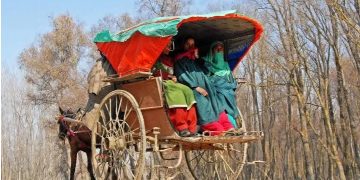 کشمیر کا آخری تانگہ بھی بند،ایک عہد کا خاتمہ!